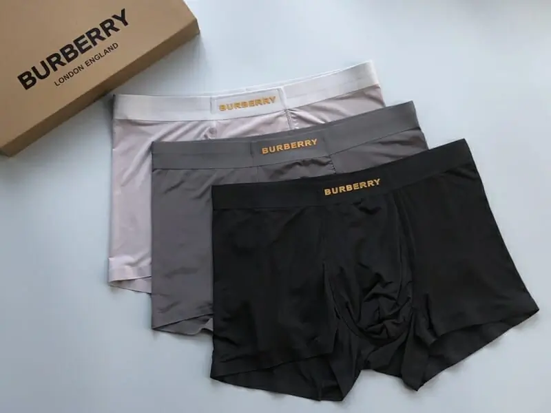 burberry sous vetements pour homme s_121137b1